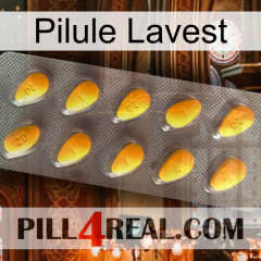 Lavest Pill cialis1
